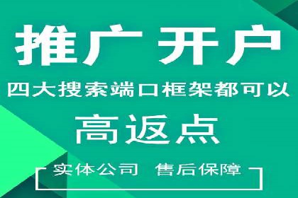 SEM优化师案例：精准定位，实现高效转化
